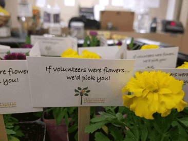 Thanks to Our Volunteers