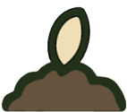 Seed-Sponsor